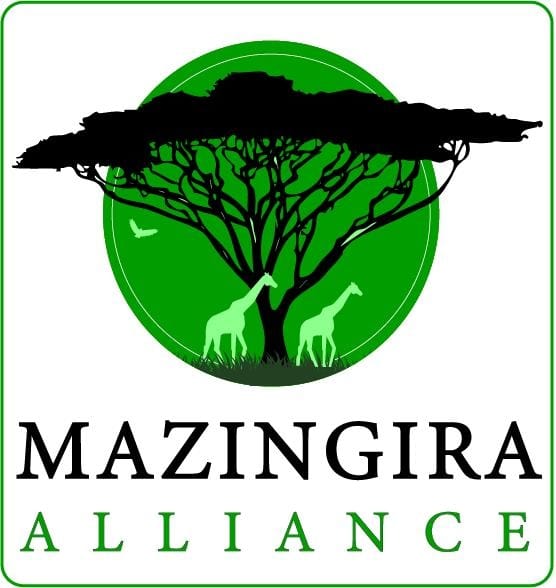 mazingera logo